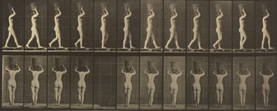 34. táblaszám. Járás és cipelés egy 15 fontot. kosár a fején, felemelt kezek alkotó: Eadweard Muybridge