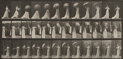  alkotó: Eadweard Muybridge