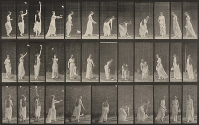 463. számú tábla. Nyújtózás, lehajlás és megfordulás alkotó: Eadweard Muybridge