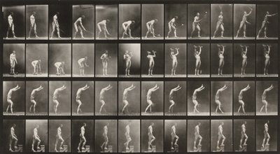  alkotó: Eadweard Muybridge