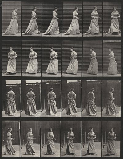  alkotó: Eadweard Muybridge