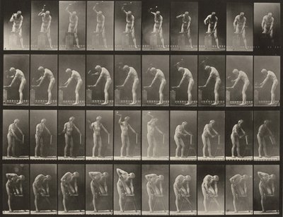491. számú tábla. A, B: Kalapálás üllőn. C: Fejsze használata. D: Deszka fűrészelése alkotó: Eadweard Muybridge