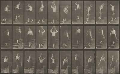 504-es számú tábla. Emelkedő és leszálló lépcsők alkotó: Eadweard Muybridge