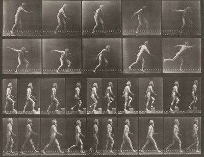 519. számú tábla. A: Diszkoszvetés. B: Fellépés egy lépcsőfokra. C: Séta alkotó: Eadweard Muybridge