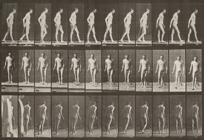  alkotó: Eadweard Muybridge