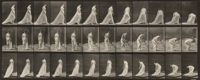  alkotó: Eadweard Muybridge