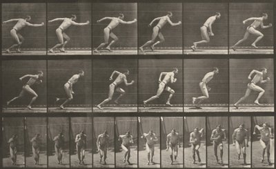  alkotó: Eadweard Muybridge