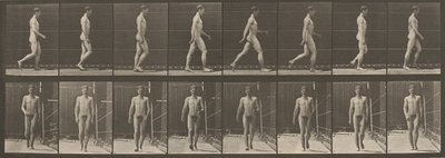 Az 5. tányérszám. Séta,1887 (fotó) alkotó: Eadweard Muybridge