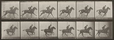 624. számú tábla. „Daisy” vágtat, felnyergelve alkotó: Eadweard Muybridge