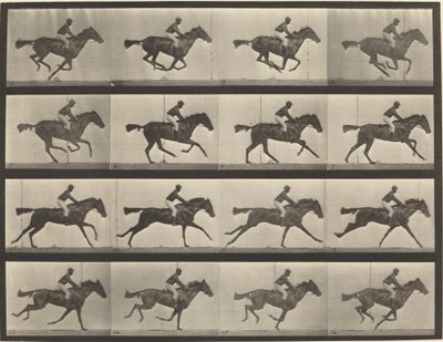 626. rendszám. Vágta, telivér öböl kanca, Annie G. alkotó: Eadweard Muybridge