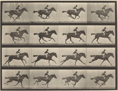  alkotó: Eadweard Muybridge