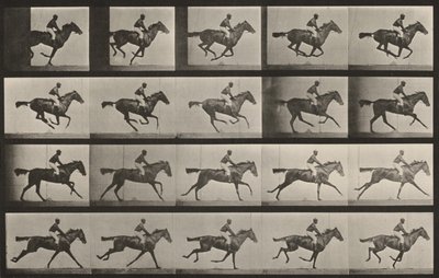  alkotó: Eadweard Muybridge