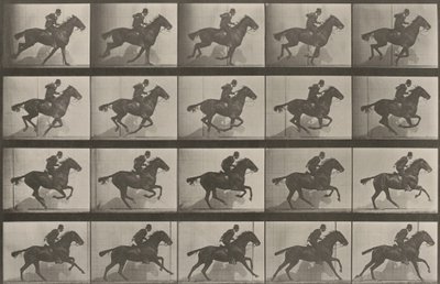  alkotó: Eadweard Muybridge