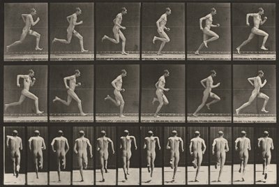 62. tábla. Futás teljes sebességgel alkotó: Eadweard Muybridge