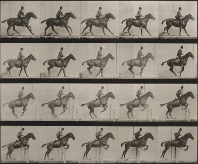 636. tábla. „Daisy” nyeregben átugrik egy akadályt, felkészülve az ugrásra alkotó: Eadweard Muybridge