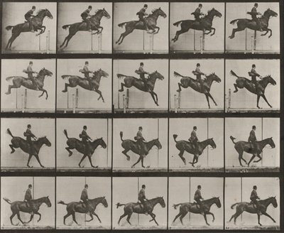  alkotó: Eadweard Muybridge