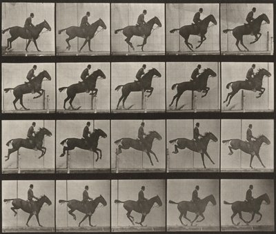  alkotó: Eadweard Muybridge