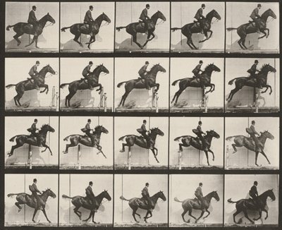 640. tábla. „Daisy” felnyergelve átugrik egy akadályt alkotó: Eadweard Muybridge
