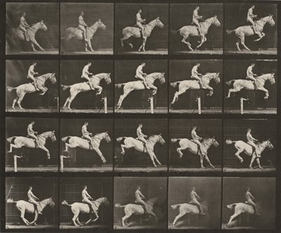  alkotó: Eadweard Muybridge
