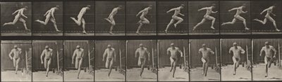  alkotó: Eadweard Muybridge