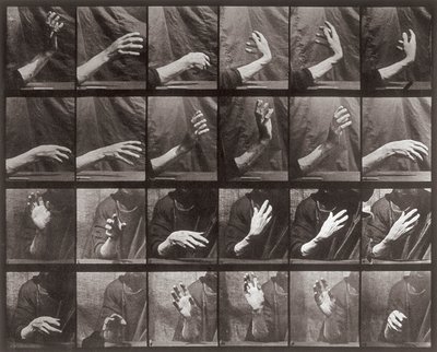 Sorozat kézmozdulattal, 535-ös lemez az Animal Locomotion-tól (kollotípus) alkotó: Eadweard Muybridge