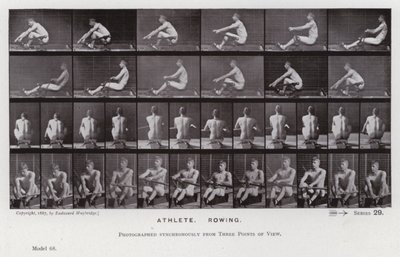 Mozgó emberalak: atléta, evezés (f/w fotó) alkotó: Eadweard Muybridge