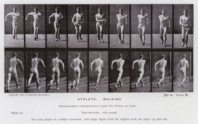 Mozgó emberalak: sportoló, gyalogló (f/w fotó) alkotó: Eadweard Muybridge