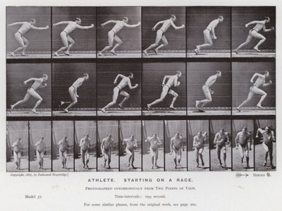 Mozgó emberalak: sportoló, versenyen indul (f/w fotó) alkotó: Eadweard Muybridge