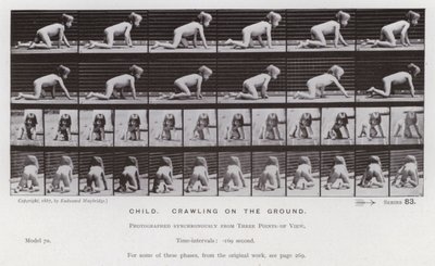 Mozgó emberalak: Gyermek, mászik a földön alkotó: Eadweard Muybridge