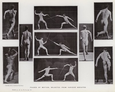 A mozgásban lévő emberi alak: A mozgás fázisai, különféle sorozatokból válogatva (f/w fotó) alkotó: Eadweard Muybridge