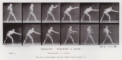 Mozgó emberalak: Pugilist, csapást mér (f/w fotó) alkotó: Eadweard Muybridge