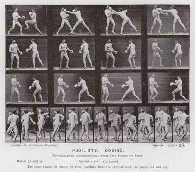 Mozgó emberalak: Pugilisták, boksz (f/w fotó) alkotó: Eadweard Muybridge