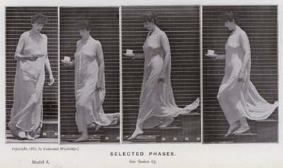 Az emberi alak mozgásban: kiválasztott fázisok (f/w fotó) alkotó: Eadweard Muybridge