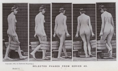 Az emberi alak mozgásban: Válogatott fázisok a 43-as sorozatból (f/w fotó) alkotó: Eadweard Muybridge