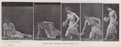 Az emberi alak mozgásban: Válogatott fázisok az 56-os sorozatból (f/w fotó) alkotó: Eadweard Muybridge
