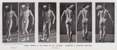 Az emberi alak mozgásban: Egy atléta sétájának néhány fázisa egy 75 kilós sziklatömböt cipelve (f/w fotó) alkotó: Eadweard Muybridge
