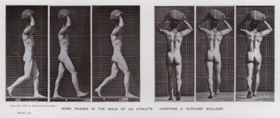Az emberi alak mozgásban: Egy atléta sétájának néhány fázisa egy 75 kilós sziklatömböt cipelve (f/w fotó) alkotó: Eadweard Muybridge