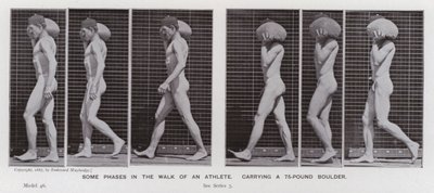 Az emberi alak mozgásban: Egy atléta sétájának néhány fázisa egy 75 kilós sziklatömböt cipelve (f/w fotó) alkotó: Eadweard Muybridge