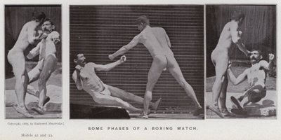 Mozgó emberalak: Egy bokszmeccs néhány fázisa (fekete-fehér fotó) alkotó: Eadweard Muybridge