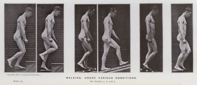 Mozgó emberalak: séta, különböző körülmények között (fekete-fehér fotó) alkotó: Eadweard Muybridge