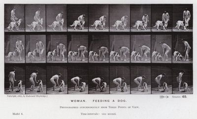 Mozgó emberalak: Nő, kutyát etet (f/w fotó) alkotó: Eadweard Muybridge