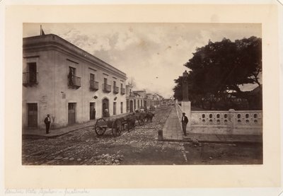 Egyesült Államok Légiója, Guatemala alkotó: Eadweard Muybridge