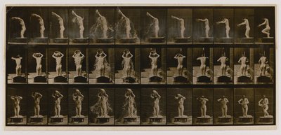 Nő, aki egy tál vizet önt a fejére, az Animal Locomotion (Állati mozgás) című könyvből. alkotó: Eadweard Muybridge