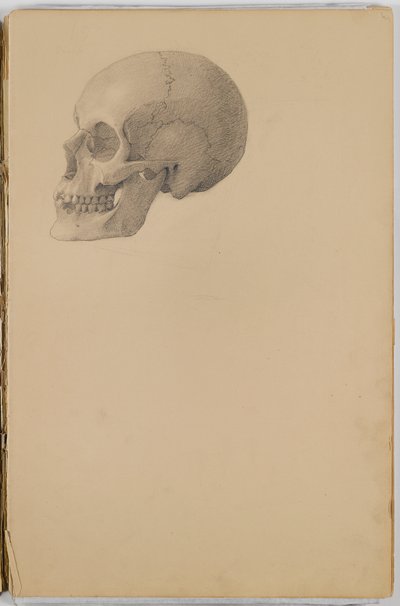 Anatómiai vázlatfüzet, 1849 (vázlatfüzet grafitból készült rajzokkal) alkotó: Eastman Johnson