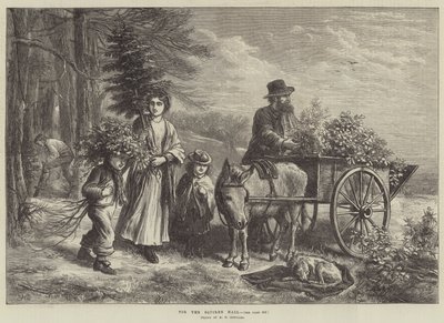 A Squire