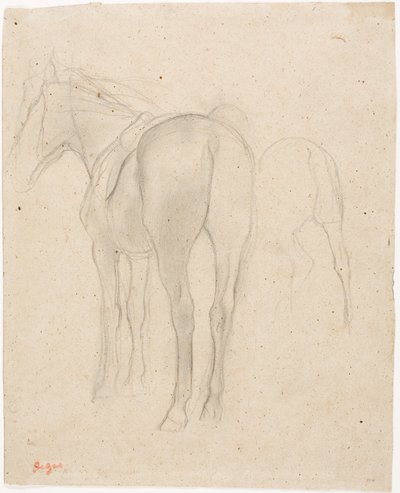 Tanulmányok egy lóról alkotó: Edgar Degas