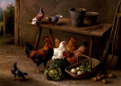 Csirkék, galambok és galambok alkotó: Edgar Hunt