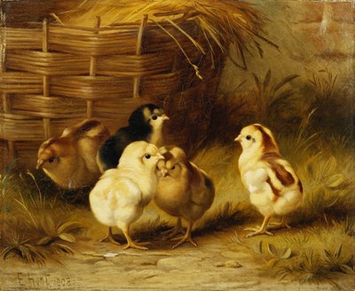 Csibék egy kosárral alkotó: Edgar Hunt