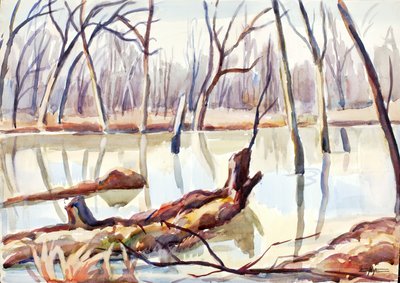 Rock Creek, Winter, kb. 1920-1929. alkotó: Edgar Nye
