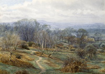 Hampstead Heath Harrow felé néz a hegyen, 1880 körül (wc papíron) alkotó: Edith Martineau